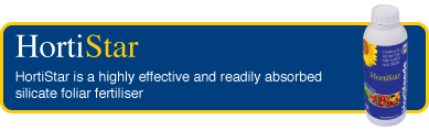 HortiStar